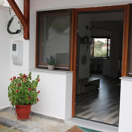 Villa Sofia Marathos  Extérieur photo