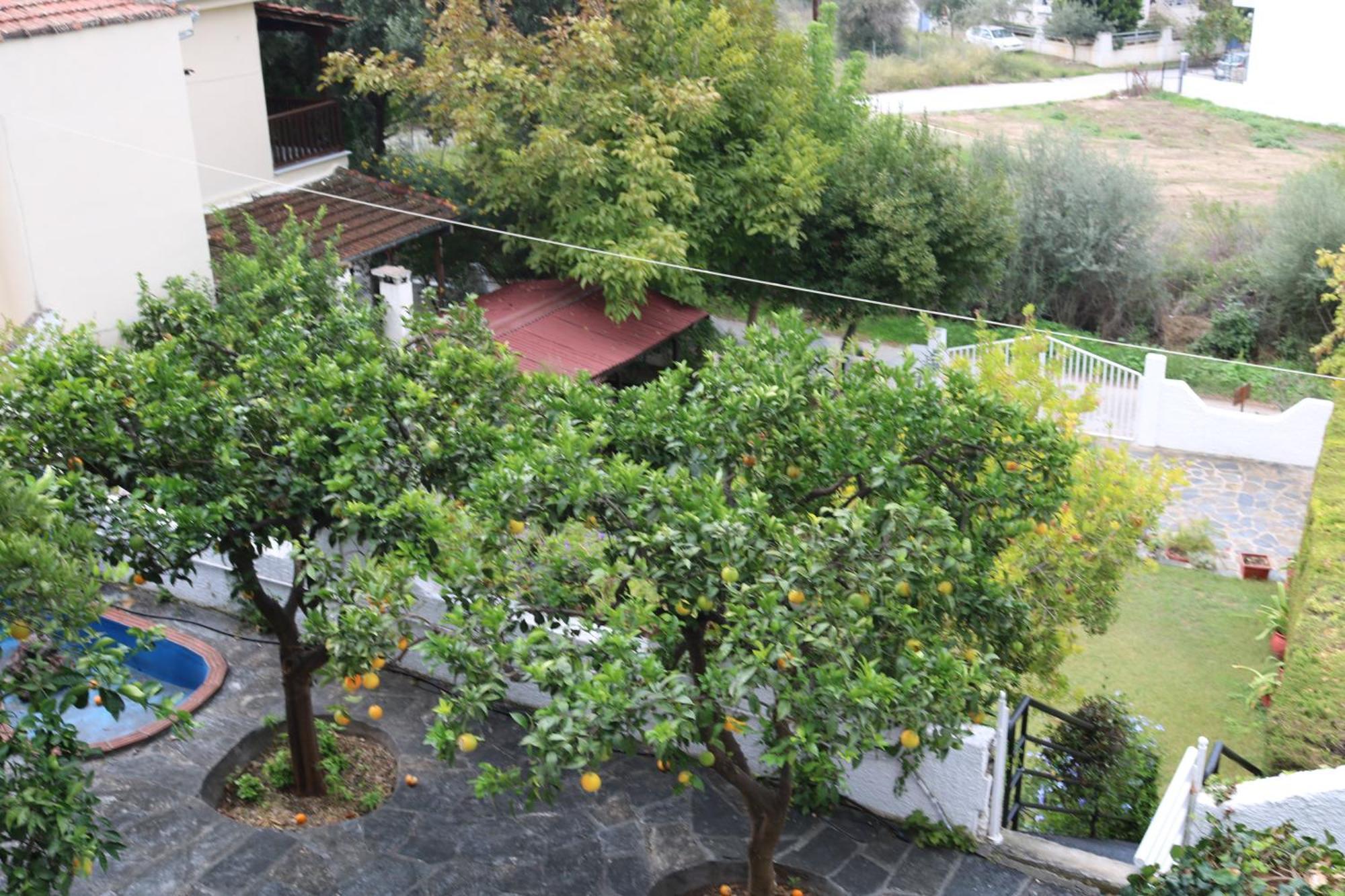 Villa Sofia Marathos  Extérieur photo