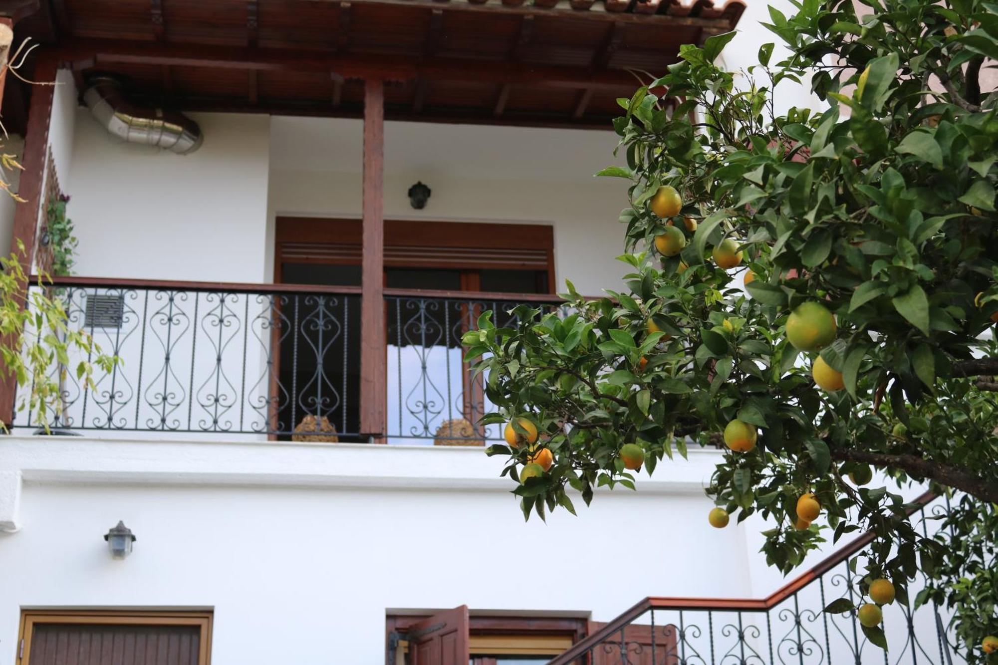 Villa Sofia Marathos  Chambre photo