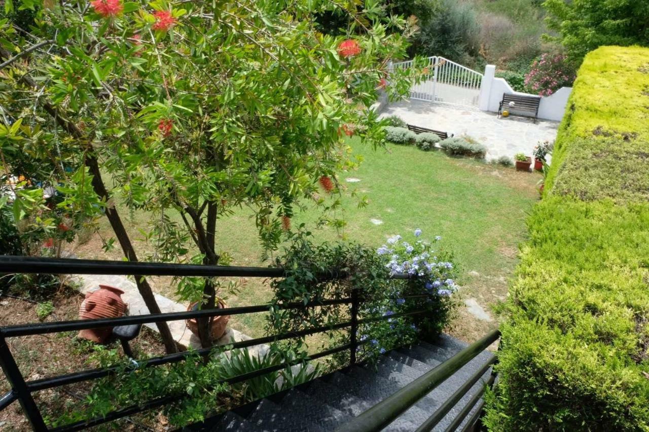 Villa Sofia Marathos  Extérieur photo
