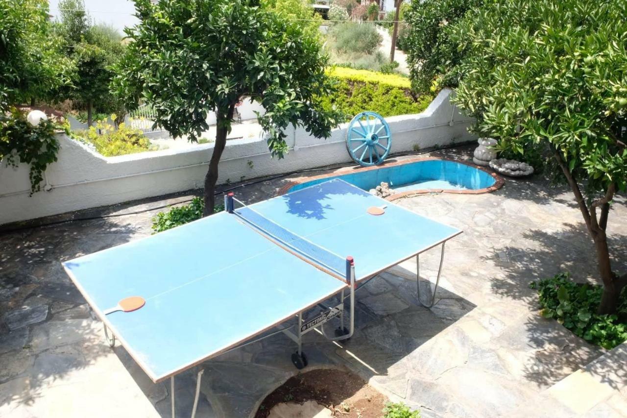 Villa Sofia Marathos  Extérieur photo