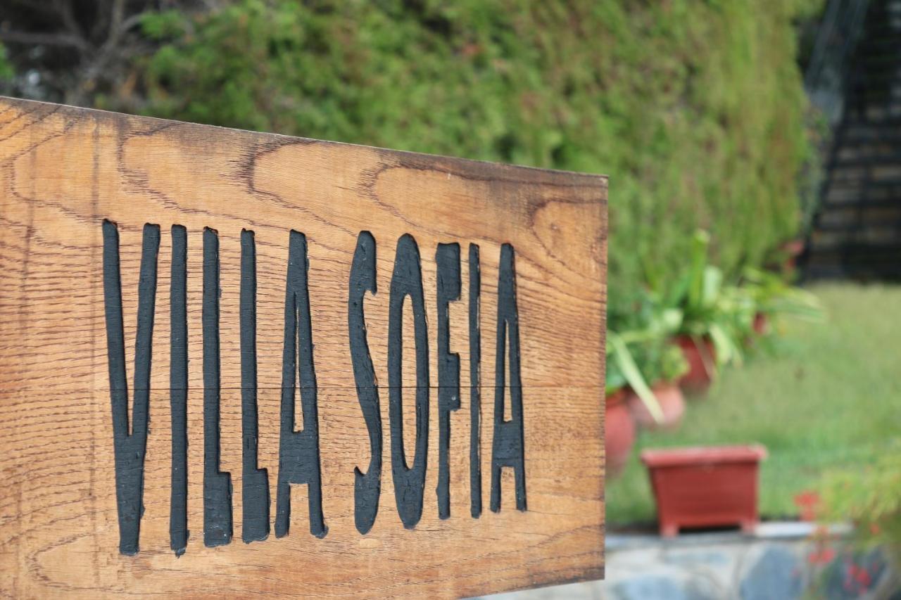 Villa Sofia Marathos  Extérieur photo