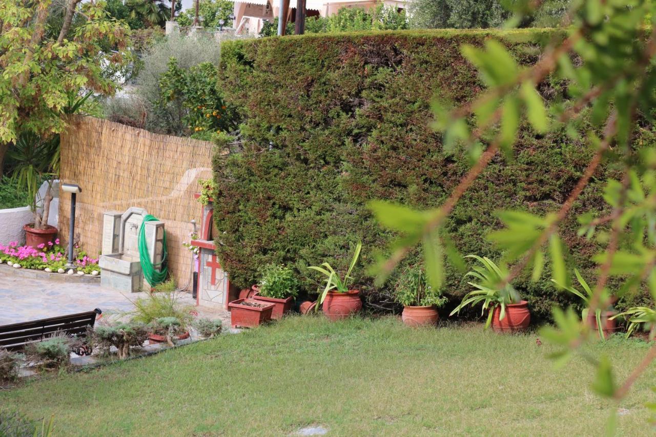 Villa Sofia Marathos  Extérieur photo