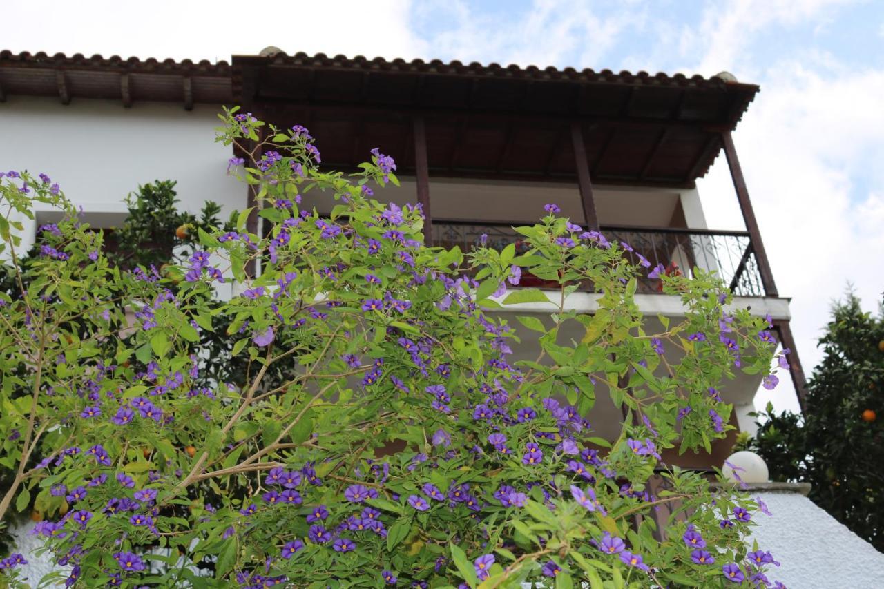 Villa Sofia Marathos  Extérieur photo